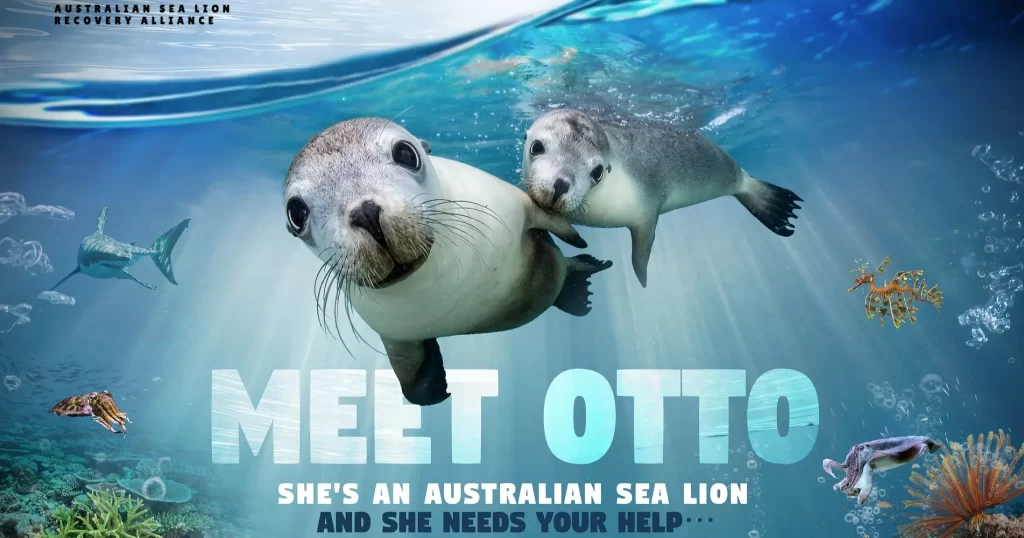 Australian Sea Lion Recovery Alliance